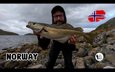 Sea Angling Norway, The Shore Hunter &amp; Friends. 4K