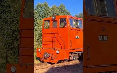 Siaurukas train #train #travel #travelling #shortvideo #shorts #lithuania #panevezys
