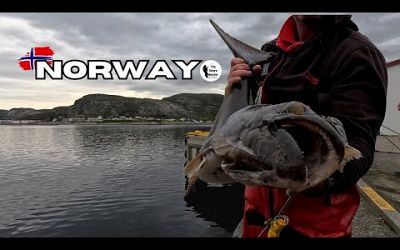 Sea Fishing Norway, The Shore Hunter &amp; Friends, 4K Drone