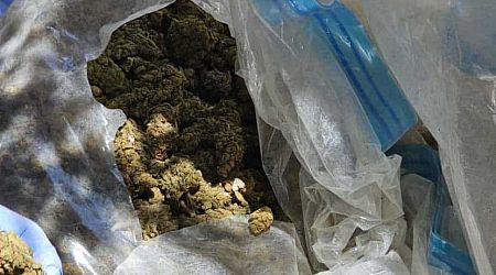 Over ten kilos cannabis seized in Limassol