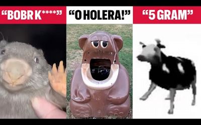 BEST 5 Polish Meme