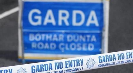 Man (20s) dies in Co Cork road crash 