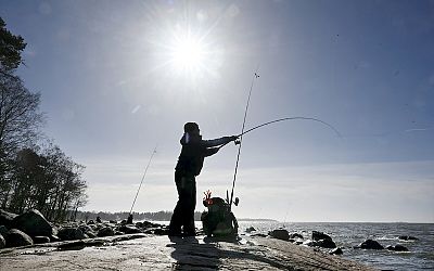 Mastering fishing: Fishing techniques: Advanced fishing techniques