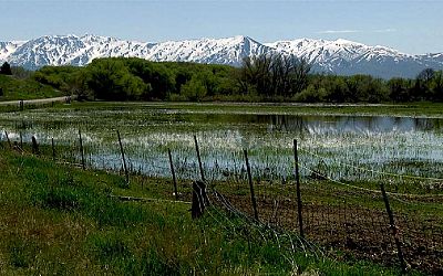 'Sacrifices' will need to be made from Bear River water supply to help Great Salt Lake
