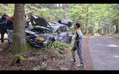 WRC Croatia Rally 2024 Crash, Jump &amp; Mistakes