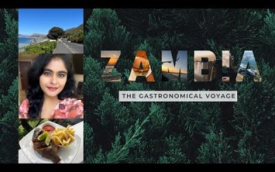 Vlog 4 - Africa Work Trip | Zambia | Last leg of the trip.