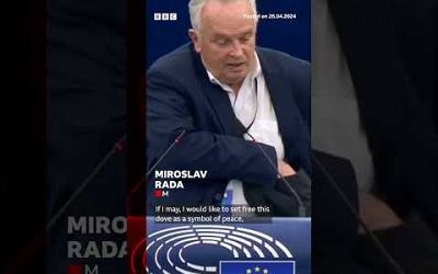 Dove released in European Parliament chamber by Slovakia member as &quot;symbol of peace&quot;. #BBCNews