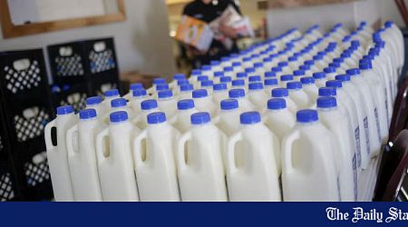 Pasteurised milk 'safe' from bird flu: US officials