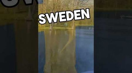 Sweden TAKES my MICRONATION!?! #goofy #memes #sweden #fyp #shorts