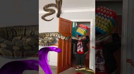 Animal funny video Anaconda snake python in my house in real life #vfx magic bhoot wala #shorts 36