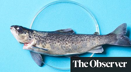 From petri dish to plate: meet the company hoping to bring lab-grown fish to the table