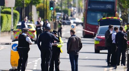 Police arrest sword-wielding man (36) after members of public and officers hospitalised in London stabbing attack