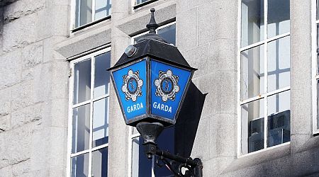Gardai investigating after terrifying aggravated burglary involving three masked men armed with iron bar