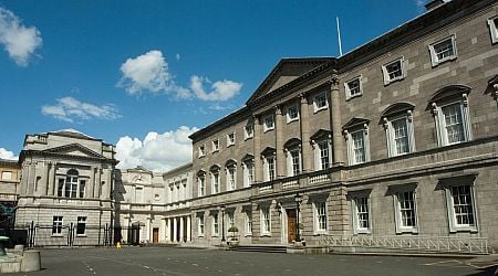 Pest controllers find 'no body' after investigating bad smell below Dail chamber