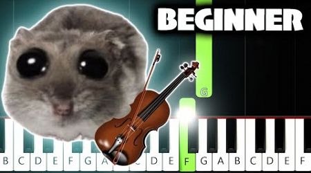 Sad Hamster Violin Meme - BEGINNER Piano Tutorial