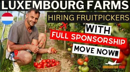 LUXEMBOURG Fruits Picking Jobs with Free Visa Sponsorships Direct Recruiter | NOW HIRING!