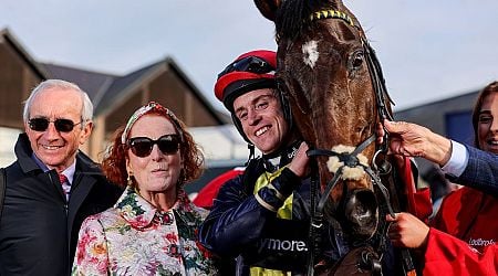Punchestown 2024: Fastorslow can deliver another knockout blow to Gold Cup hero Galopin Des Champs on second day of Festival 