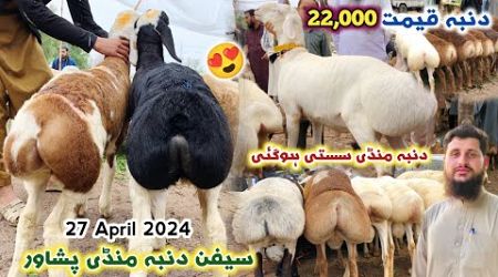 Dumba Mandi Peshawar 27 April New Updates | Turkey Balkhi Sheep Eid Ul Azha 2024 Price | Izhar Ali