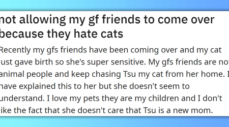 Boyfriend Refuses To Let Girlfriend's Friends Come Over Because They Hate Cats: 'I love my pets they are my children'