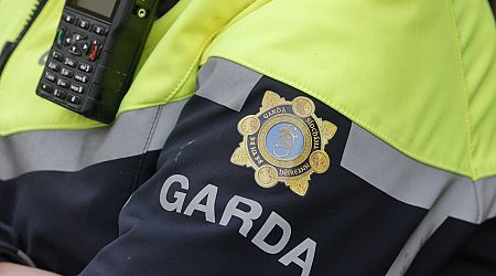 Man arrested after alleged intimidation at Co Wicklow hotel falsely rumoured as earmarked for asylum seekers