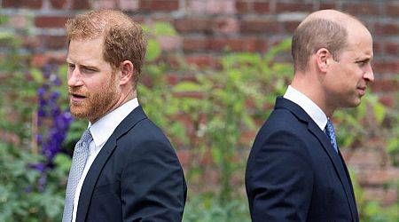 Prince Harry and William 'haven't had a real conversation in months' despite reunion hopes