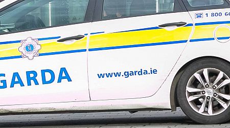 Man arrested after apparent kidnap attempt of 2-year-old child in Dublin