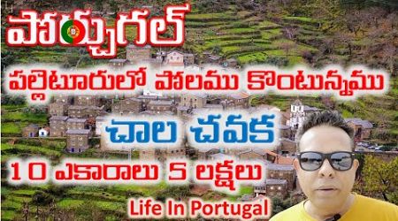 Land For Sale In Portugal | Life In Portugal | Life In Europe | Telugu Vlogs Europe | Telugu Vlogs |
