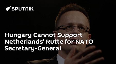 Hungary Cannot Support Netherlands' Rutte for NATO Secretary-General