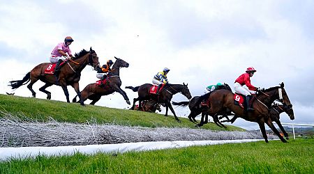 SPONSORED: Make the most of Punchestown Festival with these expert tips from Novibet