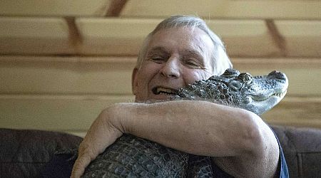 Man says his emotional support alligator has gone missing