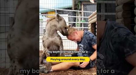 Thought we adopted an ordinary dog, but it turned out to be a #Hyena #Animal #StrayDog. #shortvideo