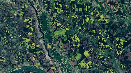 Golden rapeseed fields in Romania captured by NASA satellite
