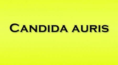 Pronunciation of Candida auris