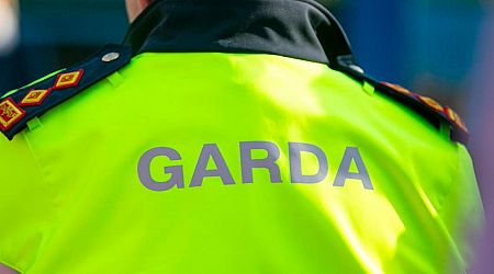 Man arrested after three women injured in alleged hatchet attack in Louth