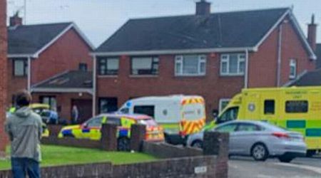 Horrific 'hatchet attack' in Dundalk leaves elderly woman fighting for her life