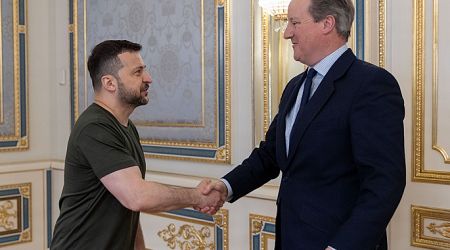 Zelensky meets Cameron on military aid to Ukraine