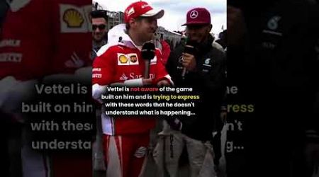 When Sebastian Vettel Sacrificed His Formula 1 Race For The Seagulls