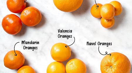 11 Types of Oranges (and How to Use Them!)