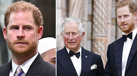Prince Harry's reason for snubbing King Charles during public appearance explained