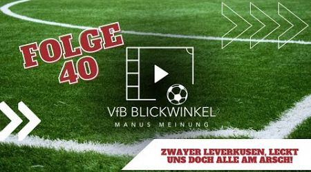 Zwayer Leverkusen, leckt uns doch alle am Arsch! | VfB Stuttgart gegen Leverkusen | VfB Blickwinkel