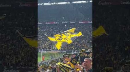 BVB: Borussia Dortmund vs. FC Augsburg