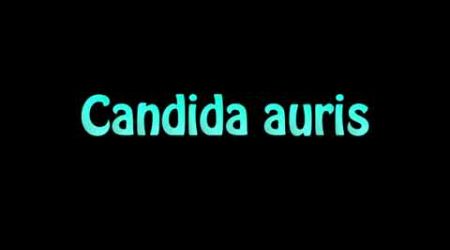 Learn How To Pronounce Candida auris