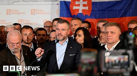 Russia-friendly populist elected Slovak president