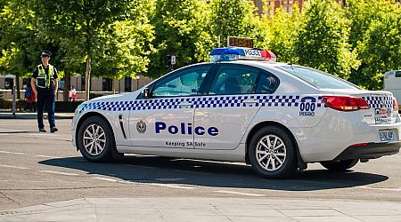 Police in Australia shoot dead 'radicalised' knife wielding teen after stabbing incident 