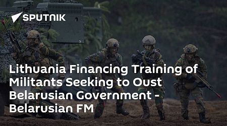 Lithuania Financing Training of Militants Seeking to Oust Belarusian Government - Belarusian FM