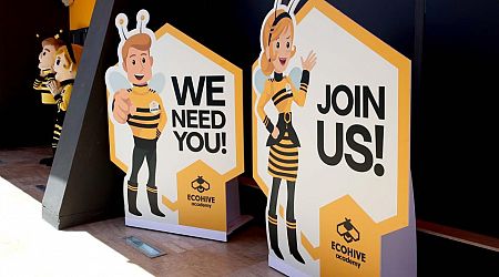 ECOHIVE Academy opens its door: an innovative educational hub to promote sustainable practices