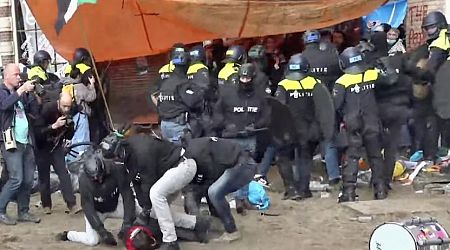 Video: Amsterdam riot police strike Gaza protestors as university occupation broken up