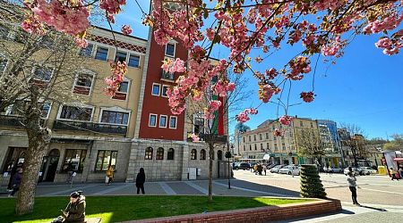 Top-of-the-List Candidates: Haskovo