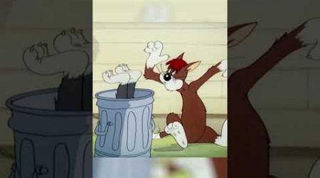 May the Best Cat Win | Tom &amp; Jerry | Cartoon Network UK | #shorts