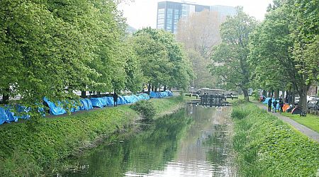 Expectations of move to improved accommodation fuelling increase in asylum seeker tents on Grand Canal 